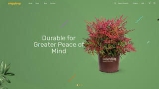 Thumbnail of crispyloop.com