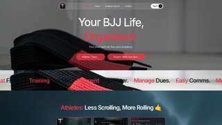 Thumbnail of tapin-bjj.com