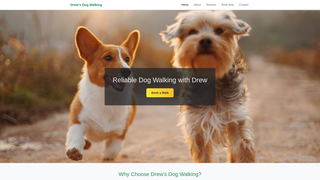 Thumbnail of drewwalksdogs.com