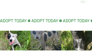 Thumbnail of pawsitivepawsrescue.com