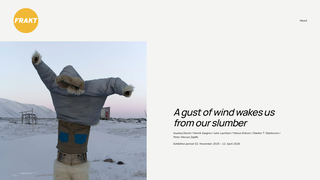 Screenshot of fraktoslo.com