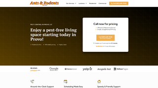 Thumbnail of antsrodentsprovo.com