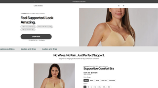 Thumbnail of ladiesandbras.com