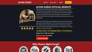 Thumbnail of en-en--alphasurge.com