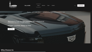 Thumbnail of trusttorontolimo.com