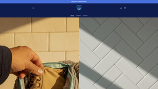 Thumbnail of washsneak.com