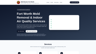 Screenshot of moldbustersfortworth.com