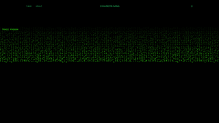 website thumbnail