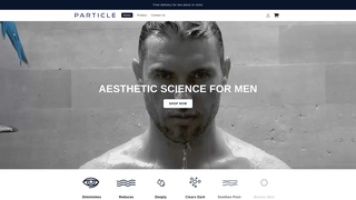 Thumbnail of particleformem.com