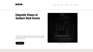 Thumbnail of blkkphotos.com