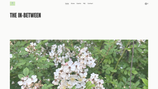 Thumbnail of thetheinbetween1114.com