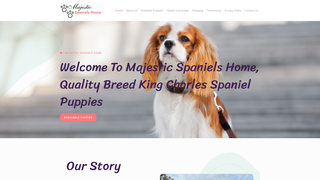 Thumbnail of majesticspanielshome.com