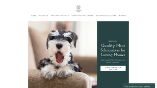 Thumbnail of minischnauzerhaven.com