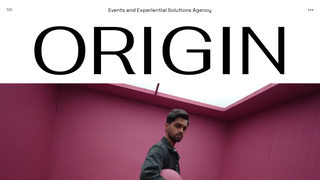 Thumbnail of theorigintheory.com