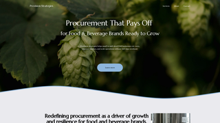 Thumbnail of provision-strategies.com