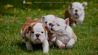 Thumbnail of crownbulldogs.com