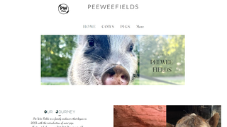 Thumbnail of peeweefields.com