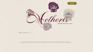 Screenshot of aetherisbrandlab.com