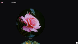 Thumbnail of anuhoffman.com