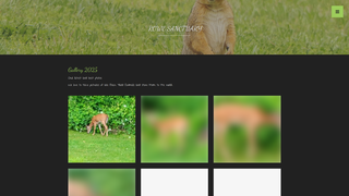 website thumbnail