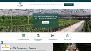 Screenshot of thecannabiscpa.com