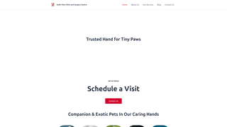 Thumbnail of vedicpetsclinic.org