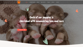 Thumbnail of titancanecorsopuppiesforsale.com