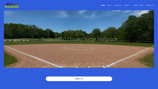 Thumbnail of tricountysurge.com