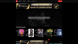 Thumbnail of 11dizipal.com