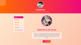Thumbnail of vacoons.net