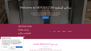 Thumbnail of skyosy.com