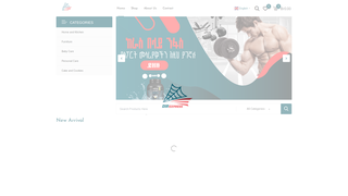Thumbnail of dir-express.com