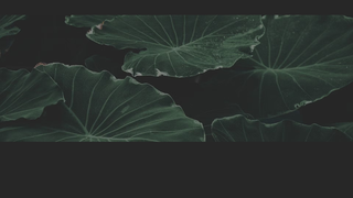Thumbnail of navig8capital.com