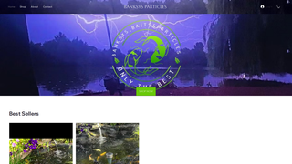 Thumbnail of banksysparticals.com