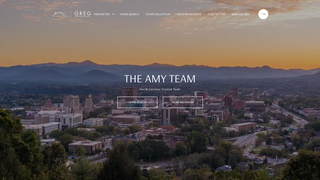Thumbnail of theamyteam.com
