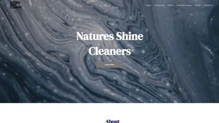 Thumbnail of naturesshinecleaners.com