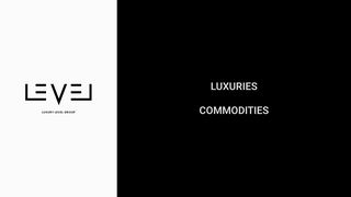 Thumbnail of luxurylevelgroup.com