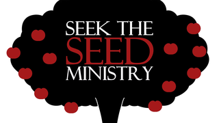 Thumbnail of seektheseedministry.com