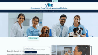 Thumbnail of vibe-vet.com