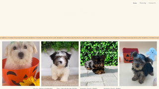 Thumbnail of pawfectpuppy.com