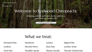 Thumbnail of redwoodchiropractic.net