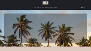 Thumbnail of akmcdesigner.com
