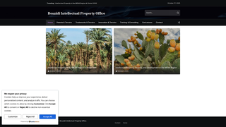 Thumbnail of bouzidioffice.com