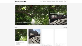 Thumbnail of bestguideforall.com