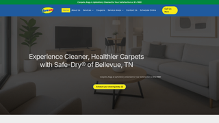 Thumbnail of safedrybellevue.com