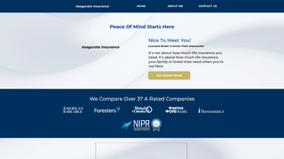 Thumbnail of financial-legacy-group.com
