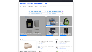 Thumbnail of productspickreviews.com