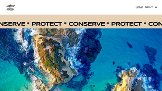 Thumbnail of lagunamaritimealliance.org