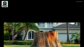 Thumbnail of lightningstumpremoval.com