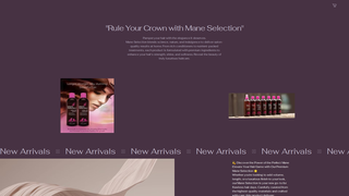 Thumbnail of maneselectionusa.com